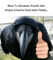 a black bird is giving a thumbs up with a fake hand