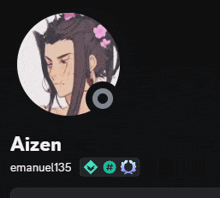 a picture of a girl with a flower in her hair and the name aizen