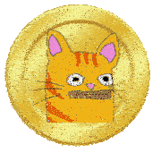 a gold coin with a cartoon cat face on it