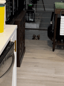 a dog laying on the floor in a kitchen with a dishwasher in the background