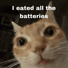 a close up of a cat with the words " i ate all the batteries " on the bottom