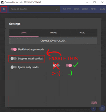 a screenshot of custom skin for lol showing the settings page