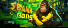 a monkey is holding two bananas in front of a sign that says $ bana gang