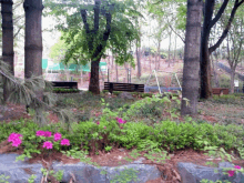 a park with pink flowers and a swing set in the background