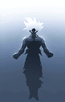 a silhouette of a man with white hair is standing in the water