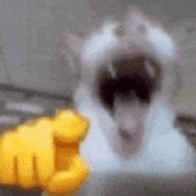 a white cat with its mouth open is being pointed at by a yellow finger .