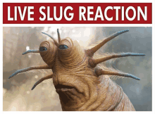 a poster that says live slug reaction with a picture of a slug on it