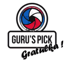 a logo that says guru 's pick gratucha