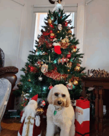 a small dog is sitting in front of a christmas tree