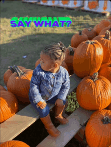 a little girl is sitting on a wooden shelf surrounded by pumpkins with the words say what written above her