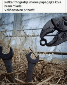 a wrench is being held by a pair of pliers in a nest of hay