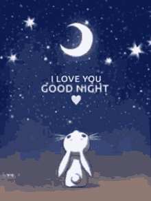 a rabbit is looking up at the moon with the words `` i love you good night '' written below it .