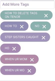 a screen shows how to delete tags on tenor and step sisters caught