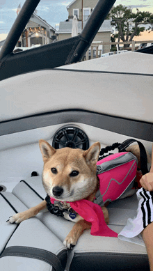 a dog wearing a life jacket is sitting on the back of a boat