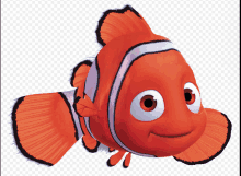 Nemo Fish Meme