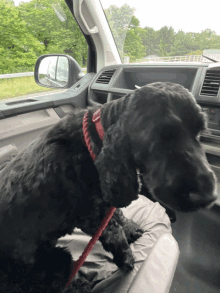 a black dog wearing a red collar is sitting in a car