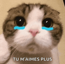 a cat with tears on its face and the words tu m 'aimes plus