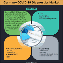 a graphic showing germany covid-19 diagnostics market size