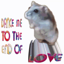 a picture of a hamster with the words " dance me to the end of love "