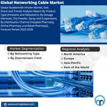 an advertisement for global networking cable market shows a bunch of blue wires