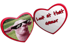 a heart shaped mirror with a picture of a sheep wearing sunglasses and the words look at that gamer