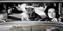 a black and white photo of a man and woman driving a car with a leopard in the window ..