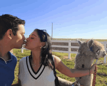 a man and a woman kissing in front of an alpaca on a leash