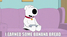 a cartoon dog is sitting on a couch with a laptop and the words i learned some banana bread .