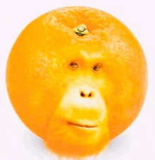 a close up of an orange with a monkey face carved into it