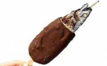 a person is holding a chocolate covered ice cream bar with a fish in it .