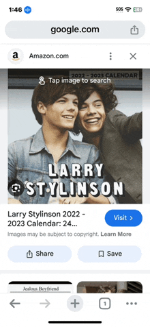 a screenshot of google.com shows a picture of larry stylinson