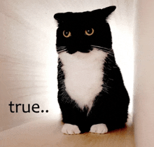 a black and white cat is sitting in a corner with the words true written below it