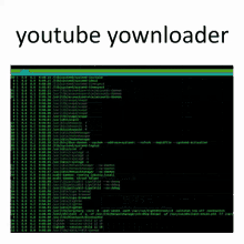 a computer screen with the words youtube yownloader at the top of it