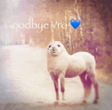 a picture of a seal with the words goodbye vro on it