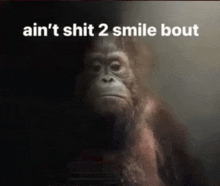 a picture of a gorilla with the words " ain 't shit 2 smile bout " below it