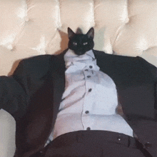 a black cat in a tuxedo sits on a white couch