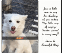 a picture of a white dog next to a greeting card that says have a beautiful day