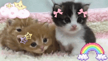 three kittens are laying on a pink carpet with a rainbow in the background