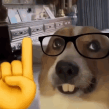 a dog wearing glasses and a yellow hand giving a rock and roll sign .