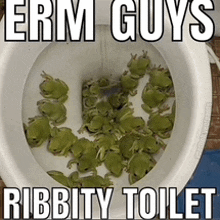 a toilet with green frogs in it and the words " erm guys ribbity toilet "