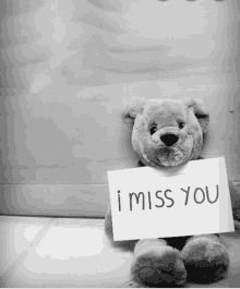 a teddy bear holds a sign that says i miss you