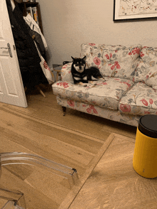 a dog is laying on a floral couch