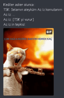 a cat is holding a gun in front of a fire and says gif