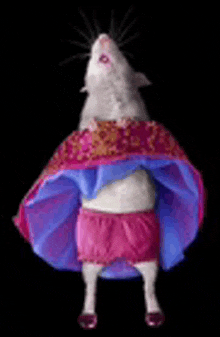 a white mouse is wearing a pink and blue dress