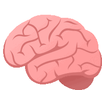 a cartoon drawing of a human brain with a white background