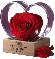 a red rose sits in a heart shaped box that says " tu y yo " on it