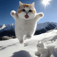 a cat is jumping in the air with its tongue sticking out