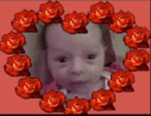 a baby is surrounded by red roses on a red background