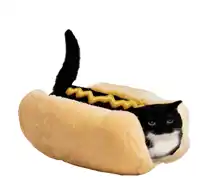 a black and white cat in a hot dog with mustard on it