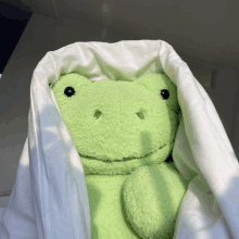 a green stuffed frog covered in a white blanket